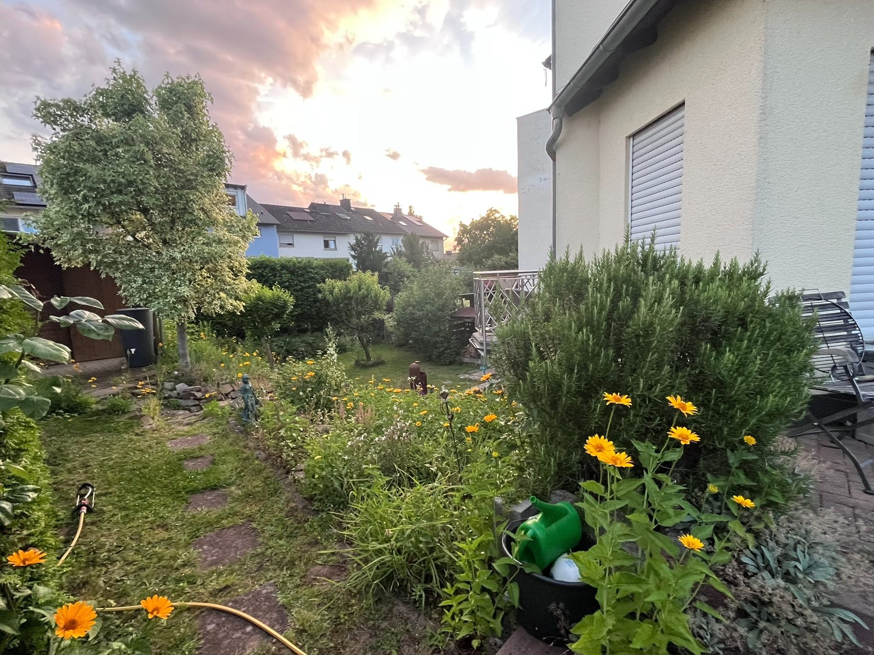 Garten des Hauses